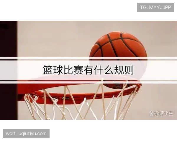 详细解析篮球后场规则：球员与球的限制与判定标准